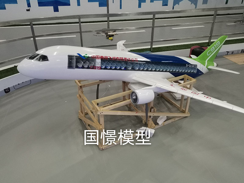 咸阳飞机模型
